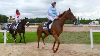 Hippodrome de la métairie neuve Châteaubriant Alain Moreau