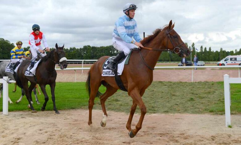 Hippodrome de la métairie neuve Châteaubriant Alain Moreau