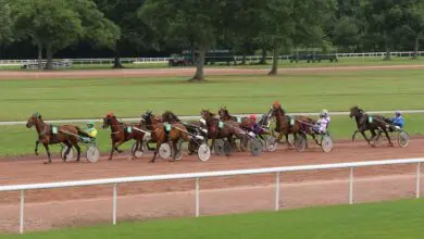 Dimanche journée premium trot hippodrome chateaubriant