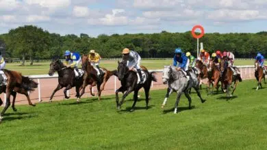 Fête des Courses a l hippodrome de chateaubriant