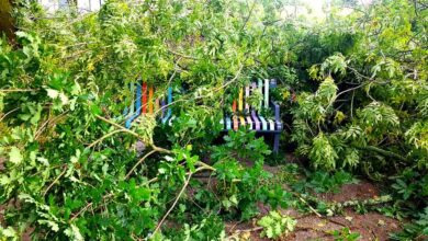 La Tempête Miguel est passée sur le Pays de Châteaubriant