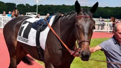 Meeting dété sur lhippodrome de Châteaubriant