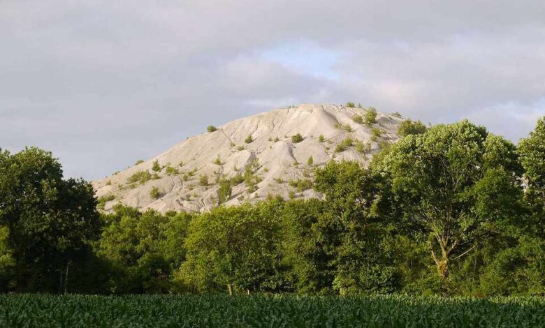 Restriction d’usage du Bois Vert à Abbaretz 1