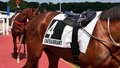 Deux journées Premium à lhippodrome de la Métairie Neuve alain moreau 001