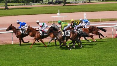 Quinte à l hippodrome de la Métairie Neuve