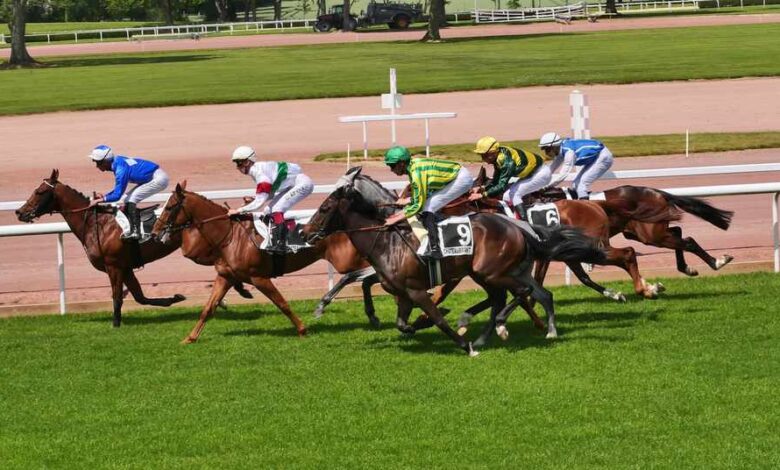 Quinte à l hippodrome de la Métairie Neuve