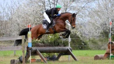 Nicolas Touzaint et ses dames dominent l international de Châteaubriant