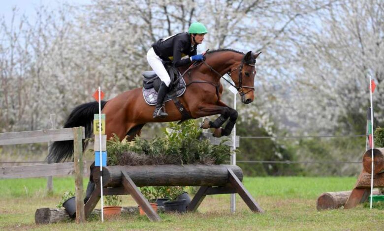 Nicolas Touzaint et ses dames dominent l international de Châteaubriant