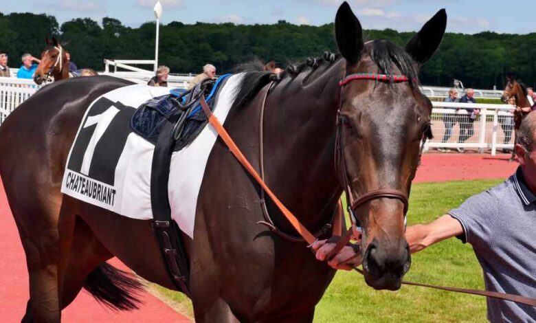 Meeting dété sur lhippodrome de Châteaubriant