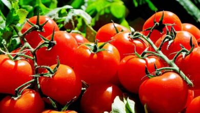 Châteaubriant pas de marché ce mercredi