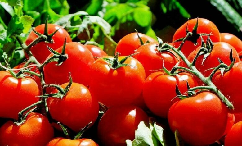 Châteaubriant pas de marché ce mercredi