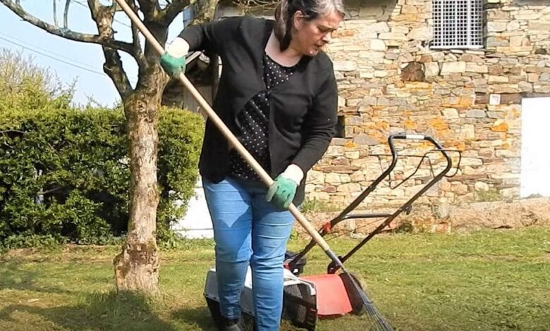 Jardinage les astuces en période de confinement