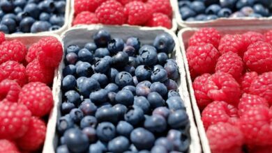 le marche dancenis nest maintenu que pour les commerces alimentaires