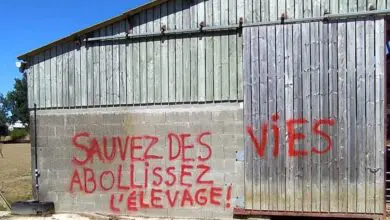 intrusions et graffiti sur des batiments delevage 001