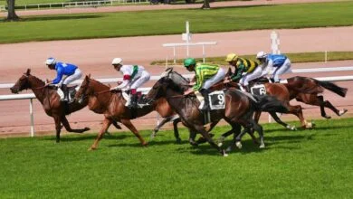 alain moreau hippodrome chateaubriant