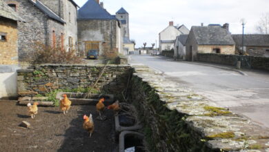 Resultats des Departementales a Juigne les Moutiers scaled