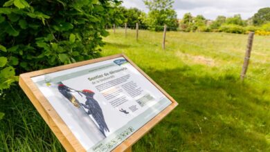 reouverture du site de la garenne de la moine a getigne