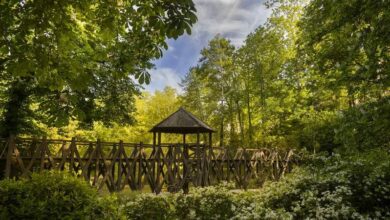 Le clos luce