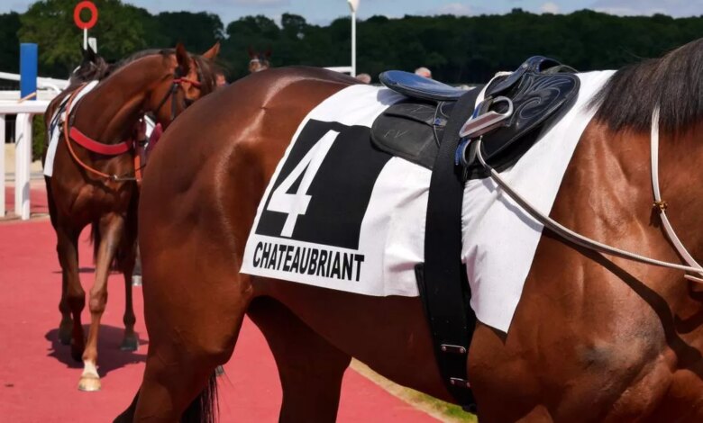 alain moreau hippodrome chateaubriant