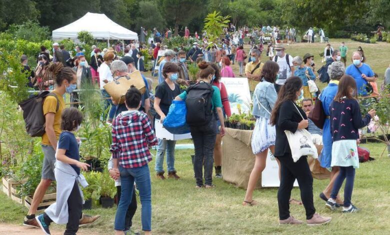 La folie des plantes