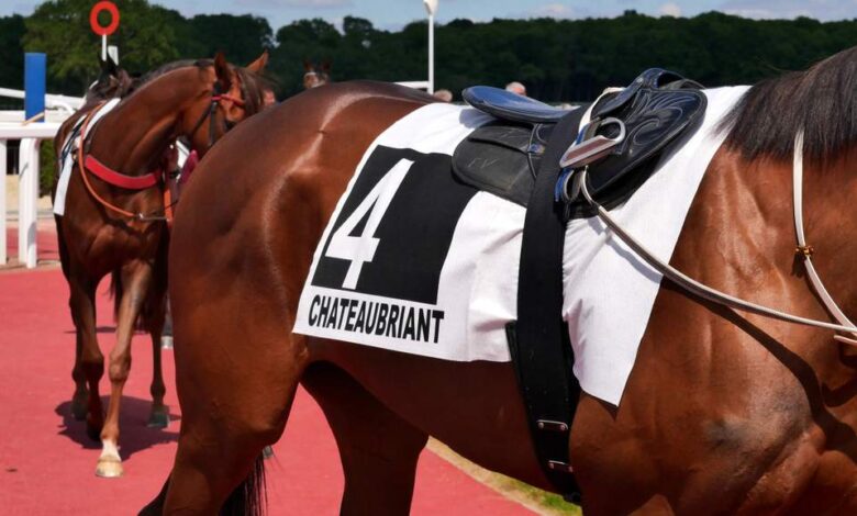 chateaubriant-un-dimanche-de-trot