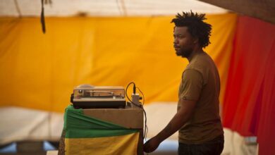 dub-camp-festival-de-vioreau-les-premiers-noms