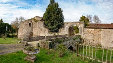 chants-dans-les-jardins-un-concert-et-des-animations