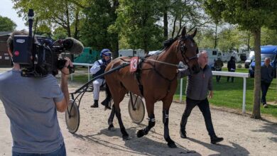 un-dimanche-de-trot-a-la-metairie-neuve