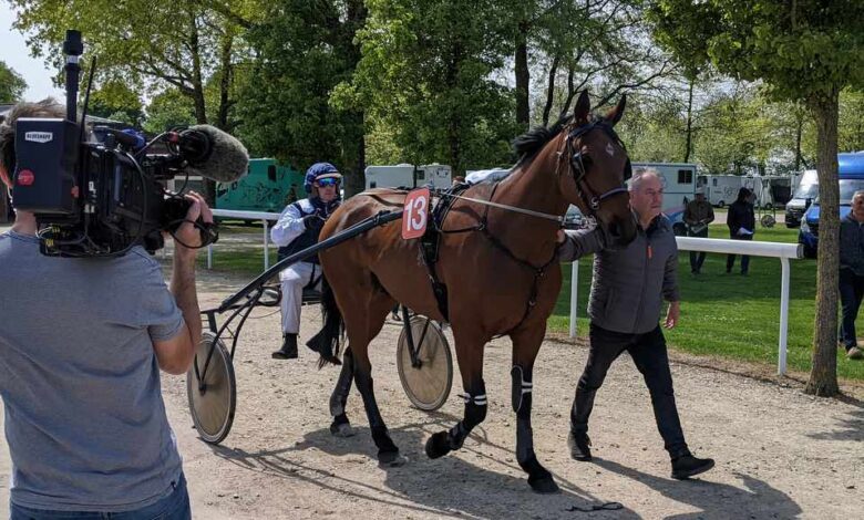 un-dimanche-de-trot-a-la-metairie-neuve