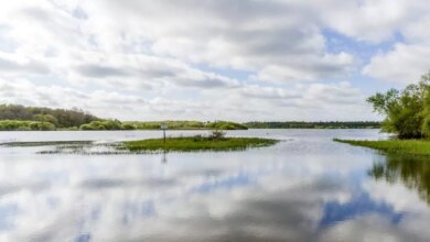 secheresse-les-cotiers-bretons-en-crise