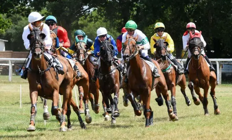 erbray-un-dimanche-de-galop