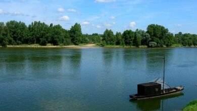 secheresse-la-loire-passe-son-seuil-dalerte