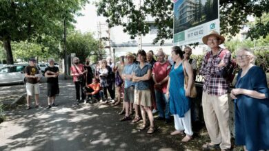 des-arbres-contre-des-tronconneuses