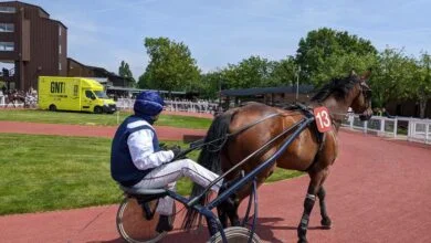 meeting-dete-sur-lhippodrome-de-la-metairie-neuve