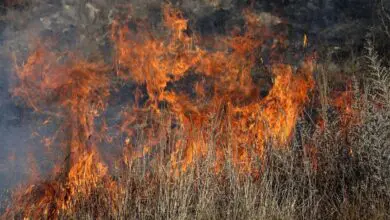 violent-feu-de-vegetation-sur-la-commune-de-montrelais