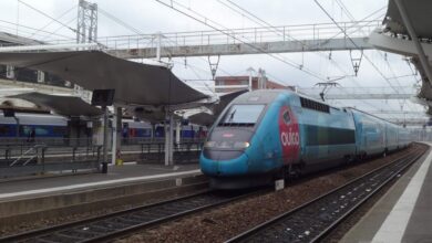 incendie-de-vegetation-la-ligne-tgv-interrompue