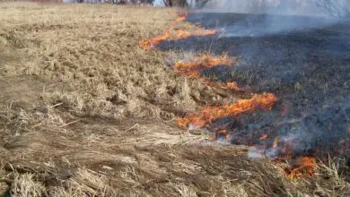 saint-julien-de-vouvantes-feu-de-vegetation