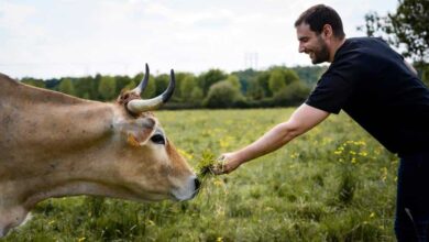 nantes-agriculture-paysanne-et-alimentation-durable