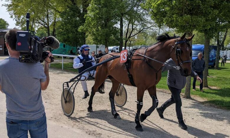 le-trot-a-lhonneur-a-lhippodrome-de-chateaubriant