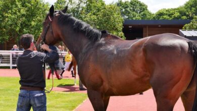 nantes-echo-de-chanlecy-veut-faire-coup-double