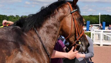 chateaubriant-fete-des-courses-dimanche-28-mai