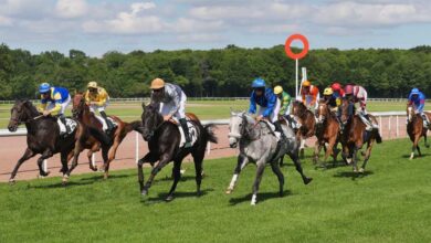 du-galop-a-lhippodrome-de-la-metairie-neuve