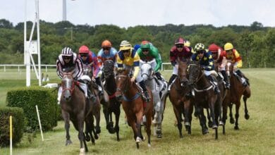 erbray-du-galop-a-lhippodrome-des-bigaudieres