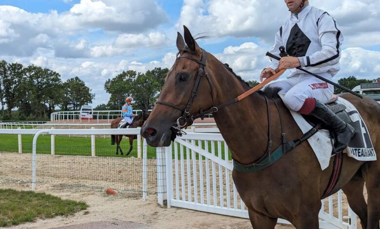 du-trot-a-lhippodrome-de-chateaubriant