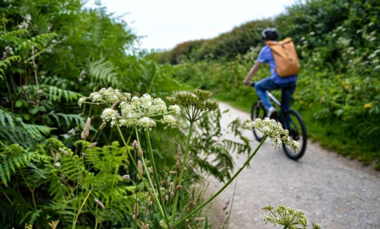 un-plan-velo-pour-les-villages-et-le-bourg-du-loroux-bottereau