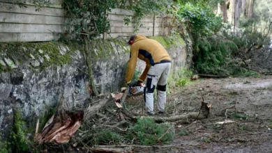 saint-nazaire-les-parcs-et-jardins-resteront-fermes