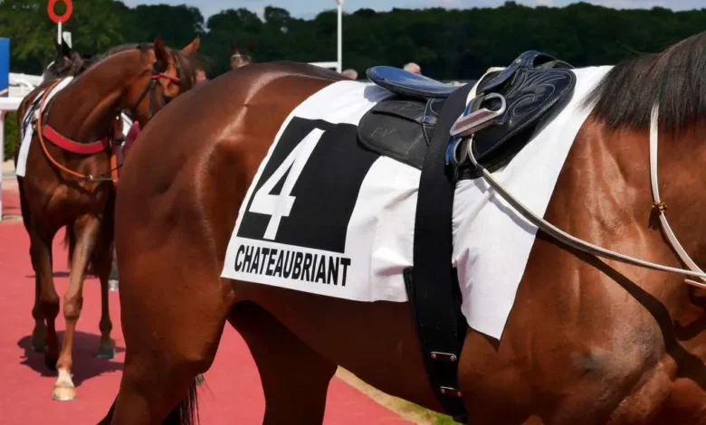 La Journée du Trot à Châteaubriant