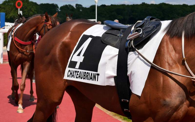 Meeting de Printemps à l'hippodrome de Châteaubriant