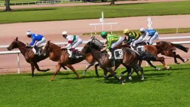 Châteaubriant : Fête des Courses à l’hippodrome