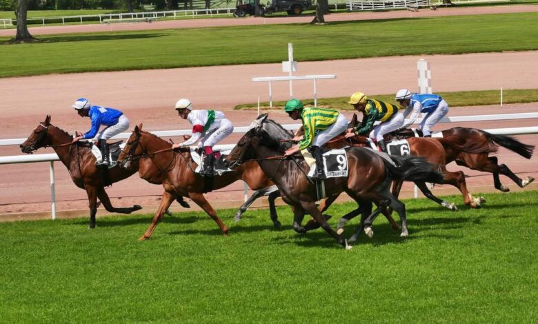 Châteaubriant : Fête des Courses à l’hippodrome